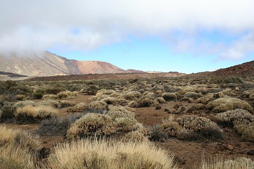 Vulkan, Landskap, Wasteland
