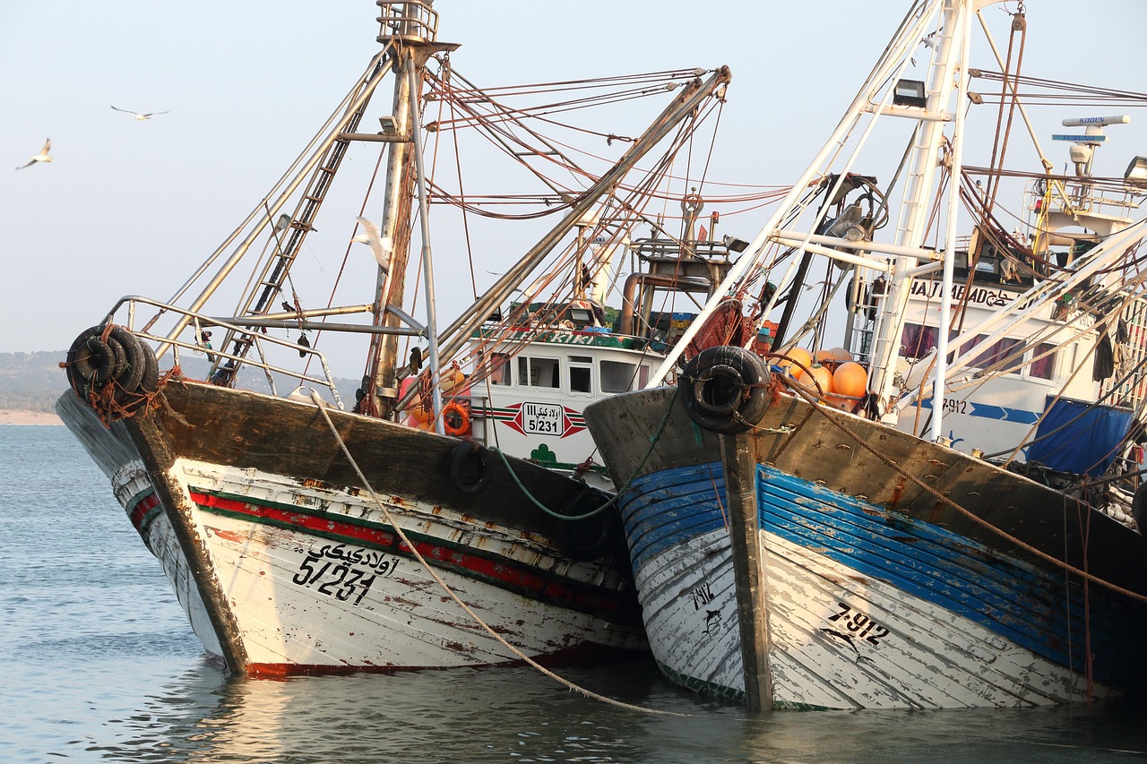 全方位解析，杭州釣魚攻略游戲推薦