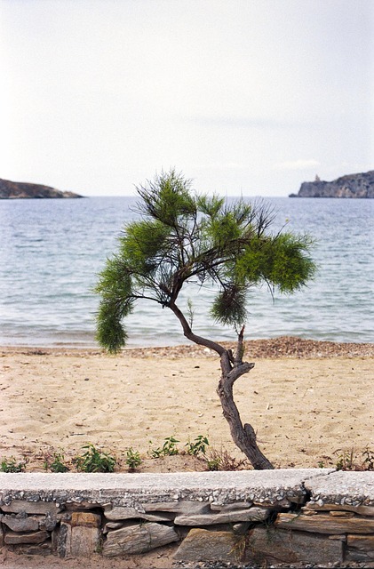 Rejse, Grækenland, Ios, Cyclades