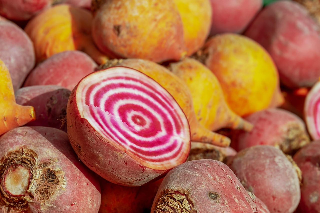 20 000 Free Farm Produce Agriculture Images Pixabay 20 000 Free Farm Produce Agriculture Images Pixabay