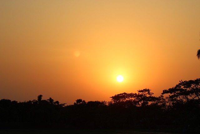 Free Sun Nature photo and picture