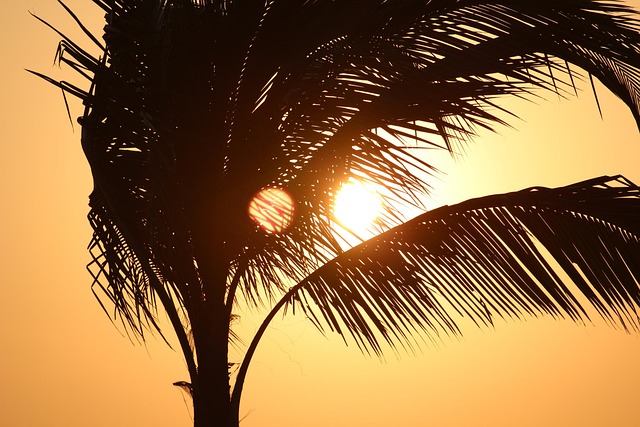 Free Sun Nature photo and picture