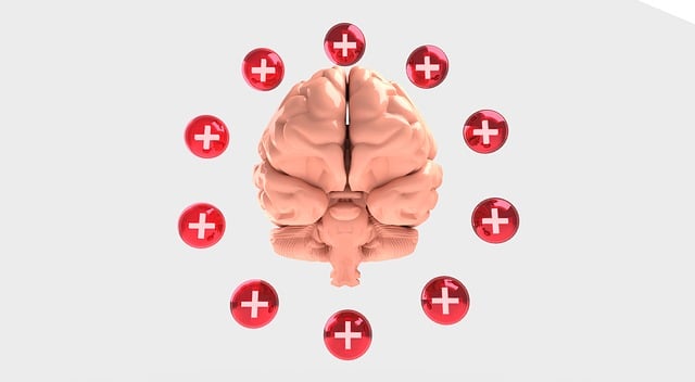 Geistig, Die Gesundheit, Gehirn