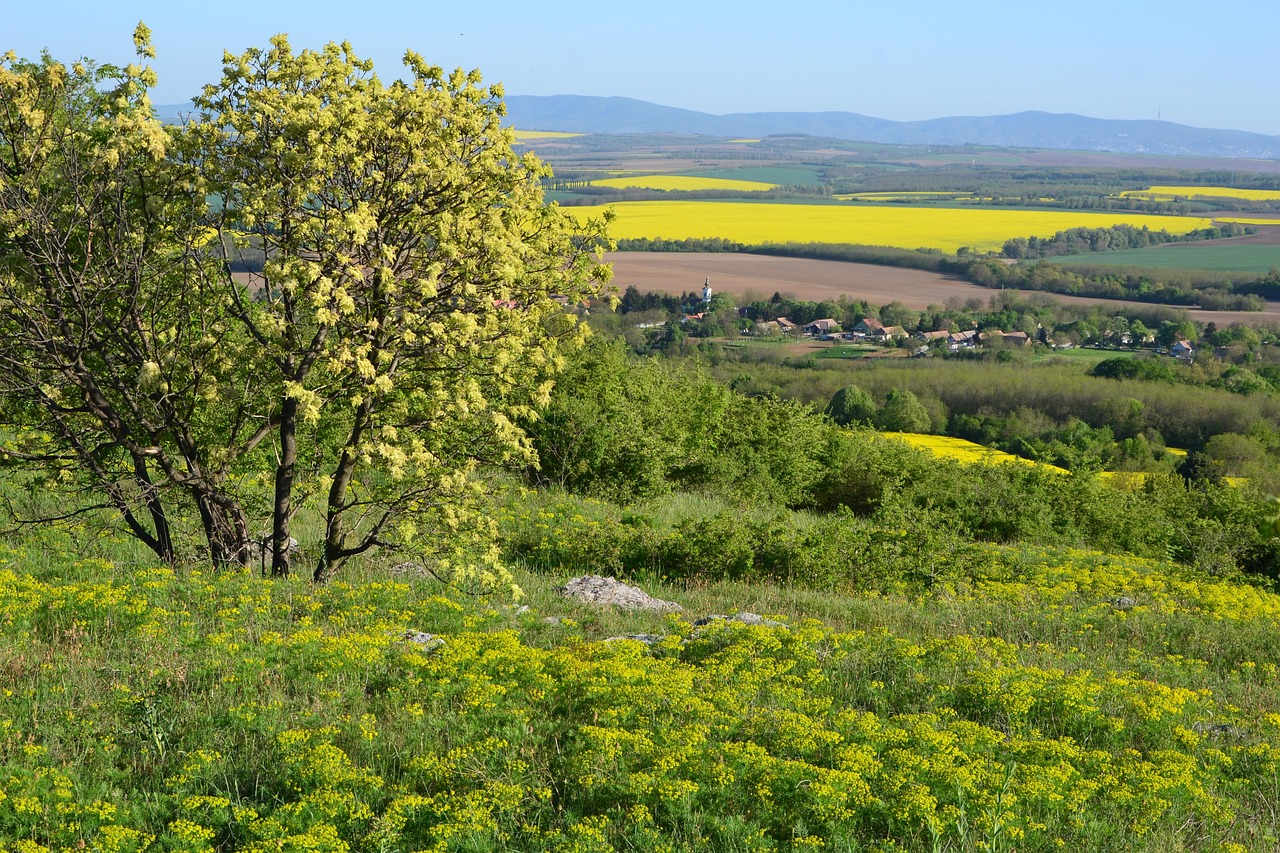 Landscape Baranya Villány - Free photo on Pixabay - Pixabay