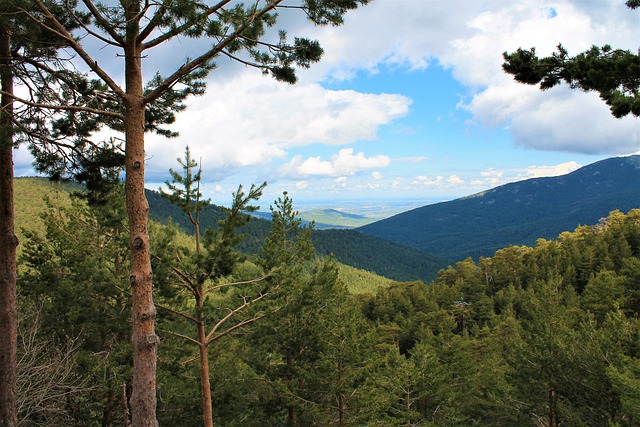 自然 山 風景 - Pixabayの無料写真 - Pixabay
