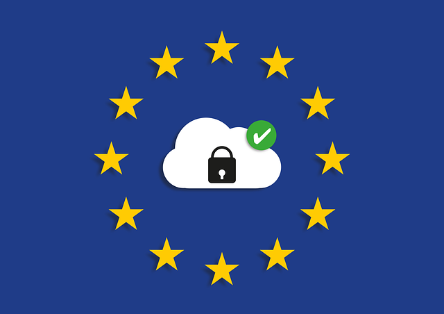 Free dsgvo data security security illustration