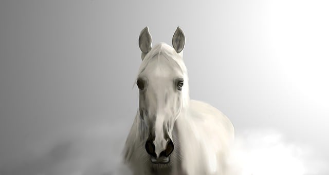 Caballo, Equino, Animal, Équidos