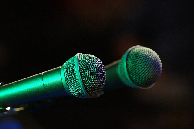 Free Micro Microphone photo and picture