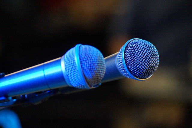 Free Micro Microphone photo and picture