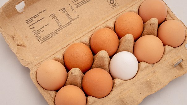 Egg, Ti, Felt, Annet, Forskjellen