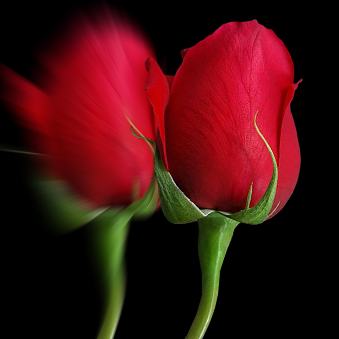 Discover And Download Free Images Pixabay