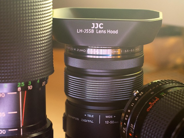 Free Soft Light Bokeh photo and picture