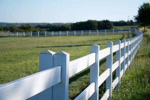 Free Horse Farm Pasture photo and picture