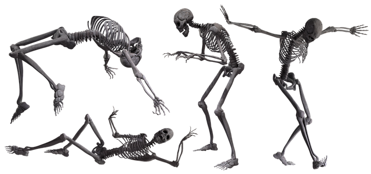 Skjelett, Hodeskalle, Bein, Halloween