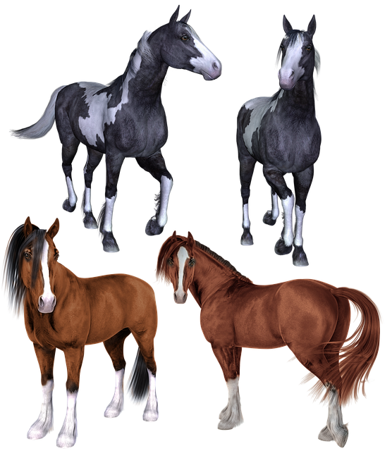 Hest, Hester, Mustang, Ponni, Ponnier
