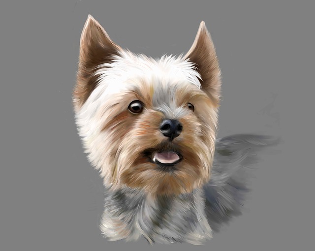 Free yorkshire terrier terrier dog illustration