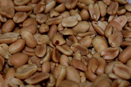 ManÃ­, Nueces, Merienda, Los Alimentos