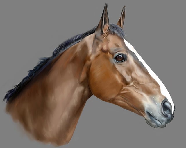 Free horse animal mammal illustration