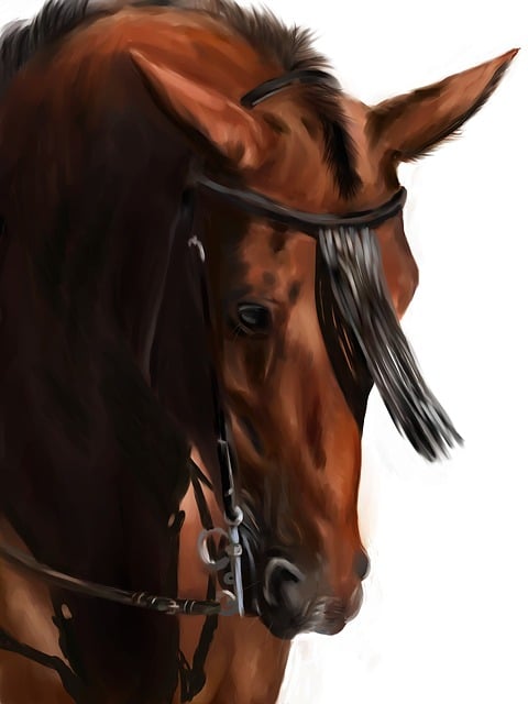 Hest, Dyr, Pattedyr, Natur, Heste