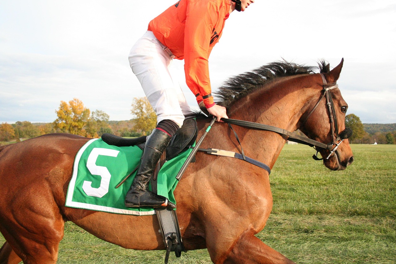 Horse - free online jigsaw puzzle photo