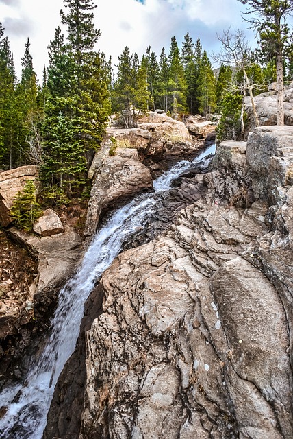 Free Waterfall Trees photo and picture