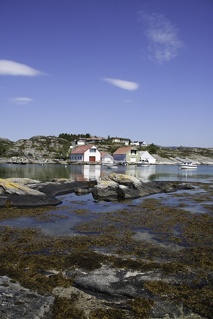 Free The Boathouse Sea photo and picture