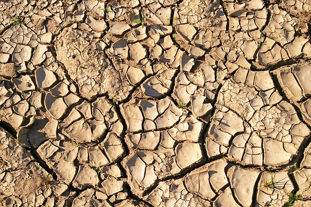 Dry Ground Dryness Dried Out Free photo on Pixabay Pixabay
