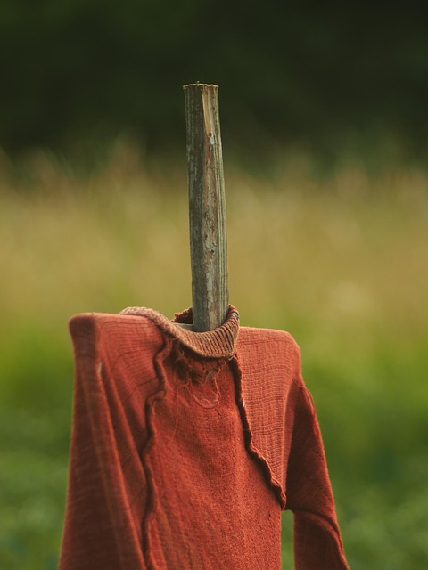 Free Portrait Scarecrow photo and picture