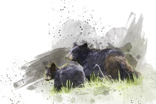 Free black bears walking wildlife illustration