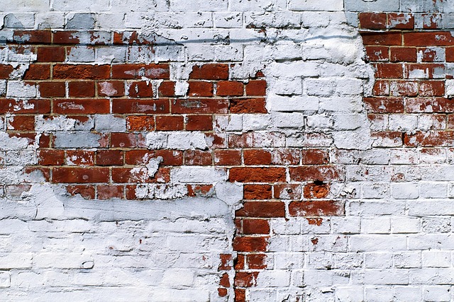 Free Brick Wall photo and picture