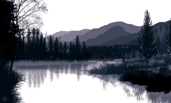 Sommer, Natur, Landskap, Gress, Skog