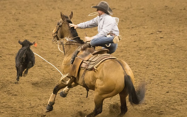 Free Rodeo Horse photo and picture