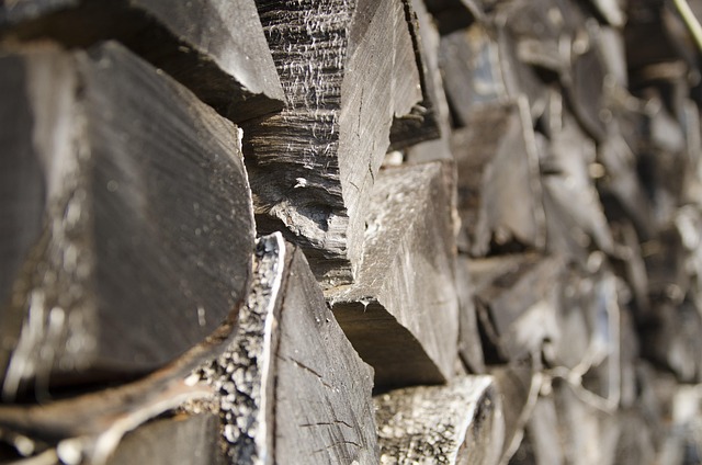 Free Firewood Village photo and picture