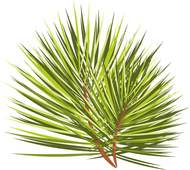 Free christmas tree branch twig illustration