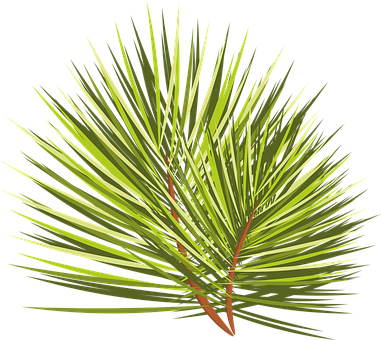 Free Christmas Tree Branch vector and picture