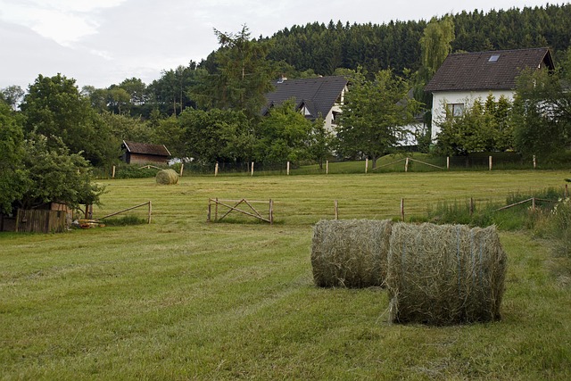 Free Germany Sauerland photo and picture
