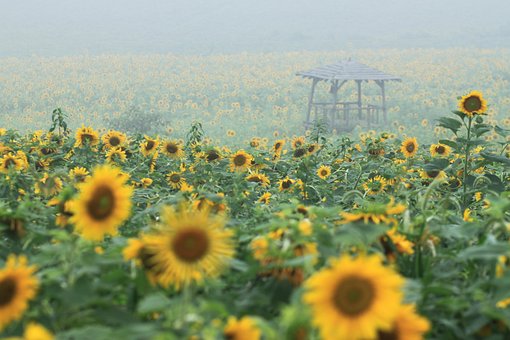 9천만원 사금융채무 개인회생 가능성5