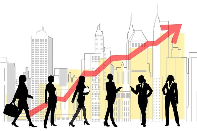 Executive, Virksomhet, Finansiere