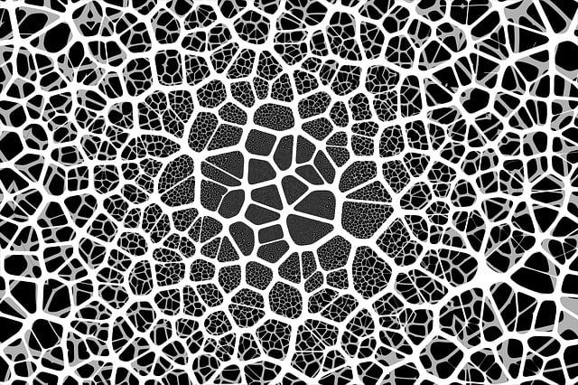 Download free HD stock image of Network Social Free network social neurons illustration