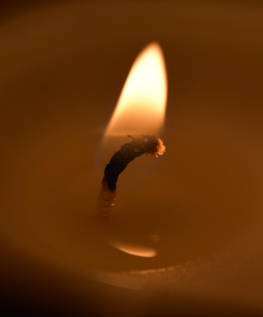 Free Fire Flame photo and picture