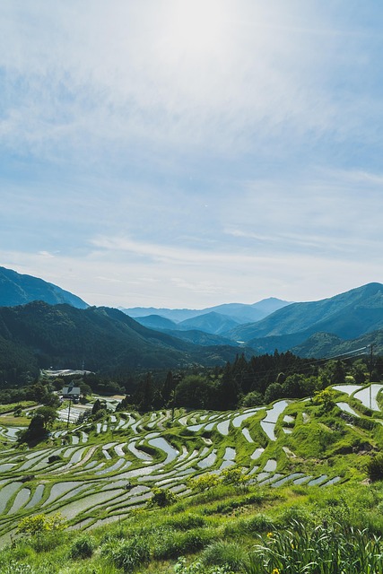 Free Maruyama Senmaida photo and picture