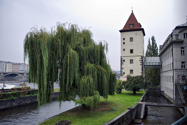 Free Prague Tower photo and picture