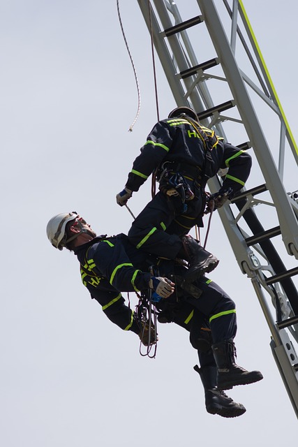Free Fireman Eig photo and picture