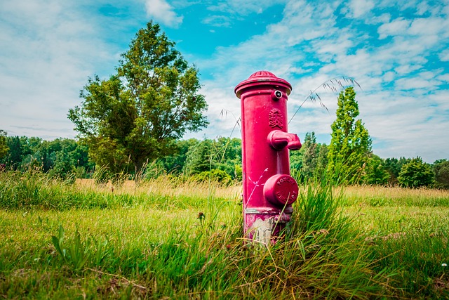 Free Hydrant Pump photo and picture