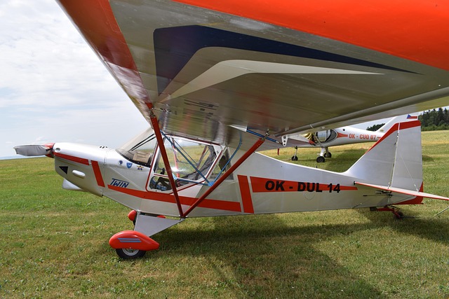 Flugzeug, Flügel, Flughafen, Gras