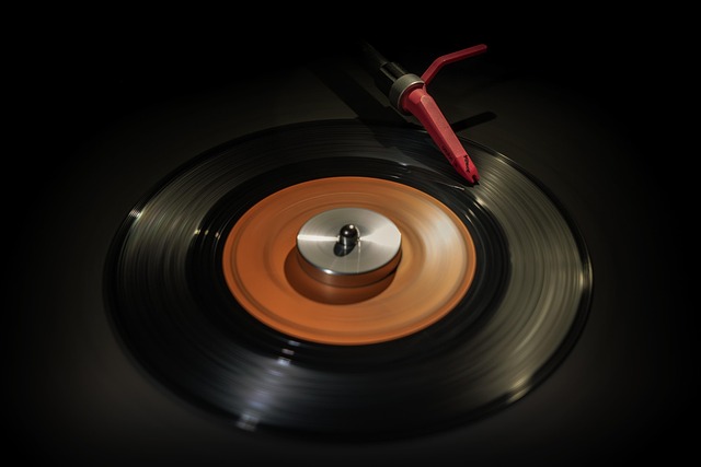 Free Vinyl Record Vinyl photo and picture