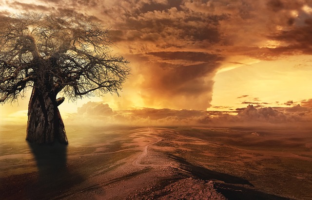 Free Fantasy Tree photo and picture