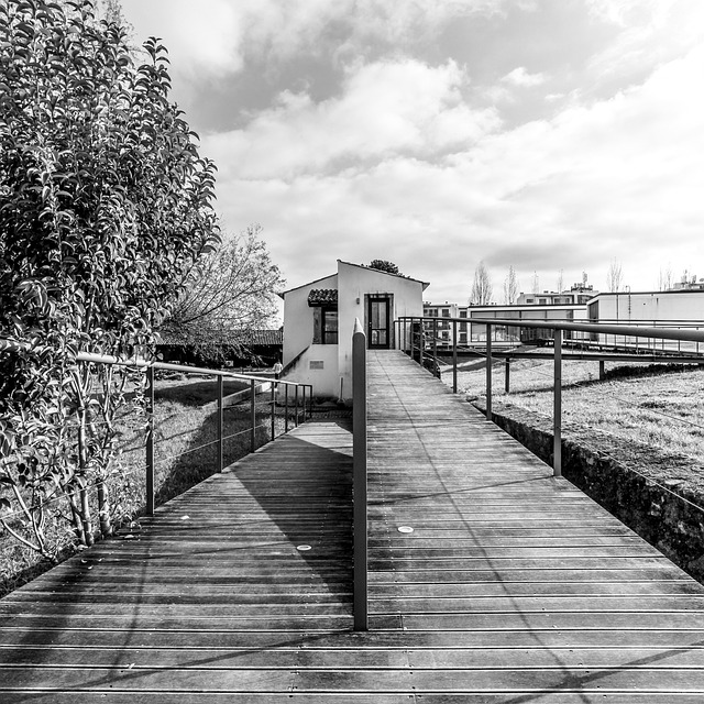 Free Coimbra Saint Clara photo and picture