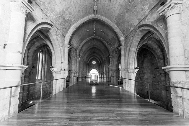 Free Coimbra Saint Clara photo and picture