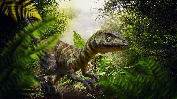Dinosaurus, Raptor, Jungle, Bregne